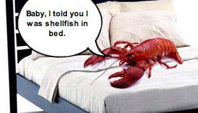 Lobsters Do Not Mate for Life