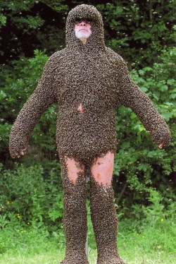 Man Covered in Bees