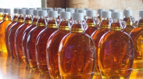 How Maple Syrup is Made