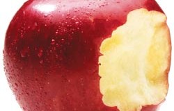 Why the Adam’s Apple is Called the Adam’s Apple