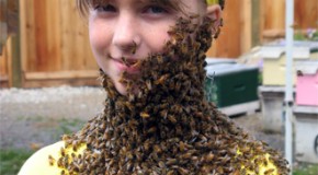 Honey Bees Know the World is Round and Can Calculate Angles