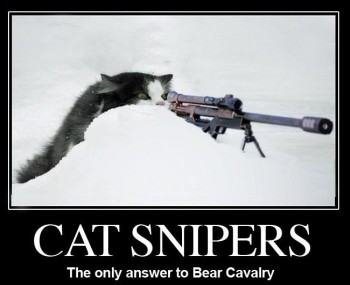 Cat Snipers