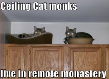 lolcat monks