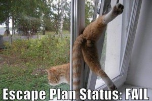 Escape Plan Status lolcat Escape Plan Status lolcat