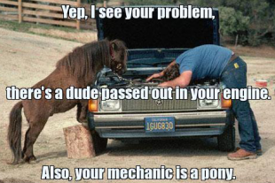 Pony for a mechanic