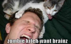 Zombie Kitteh