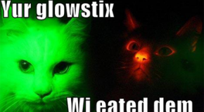 How Glow in the Dark Stuff Works