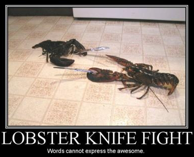 Ondergeschikt Ewell Onderbreking Debunking The Myth That Lobsters Mate For Life - Scuba.com