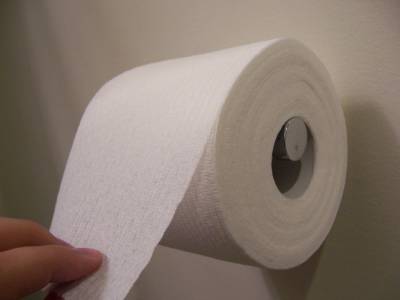 http://www.todayifoundout.com/wp-content/uploads/2010/01/toilet-paper-over.jpg