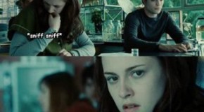 Twilight Was Rejected Fourteen Times Before Being Accepted