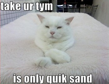 Kitty in Quicksand