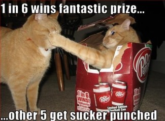 Dr Pepper Kitty