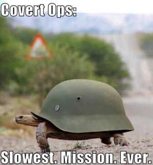 Covert Ops