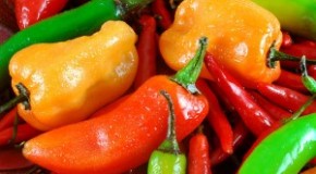 Why Peppers Taste Hot