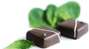 Why Mint Tastes Cold