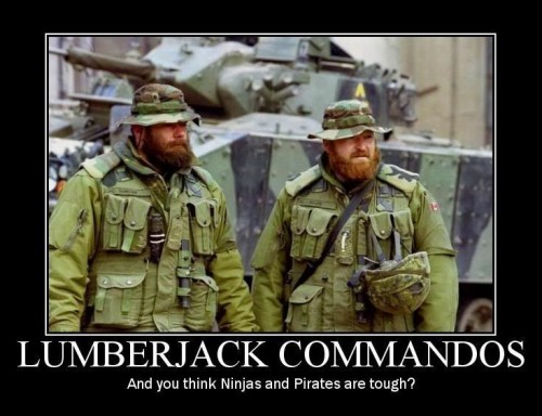 LUMBERJACK COMMANDO Demotivator