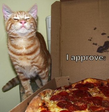 Lol kitty approves of pizza