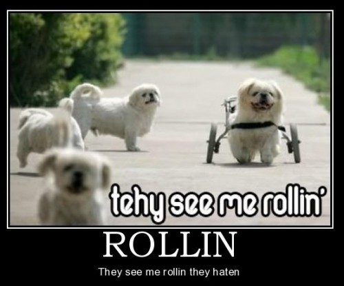 Rollin Demotivator