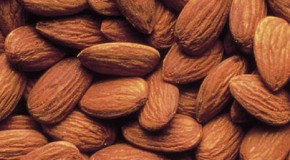 Almonds Are Not Nuts