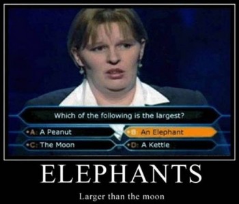 elephants larger than the moon