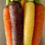 Multi-colored carrots