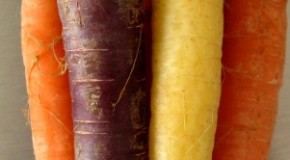 Carrots Used to Be Purple Before the 17th Century