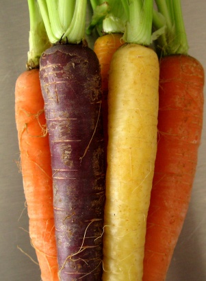 Multi-colored carrots