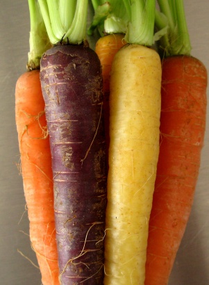 Multi Coloured Carrots