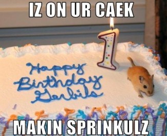 Happy Birthday Sprinkles