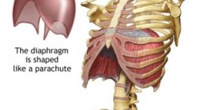 What Causes the Pain in Your Side You May Occasionally Feel While Running