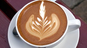 A Coffee “Bean” is Not Actually a Bean