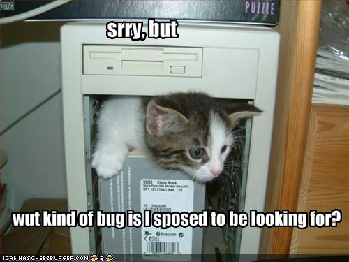 funny-pictures-kitten-looks-for-bugs-in-your-computer.jpg