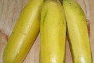 Commercial Banana Plants are Perfect Clones of One Another