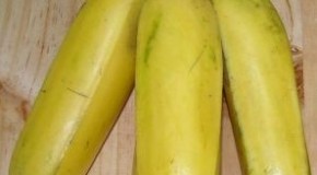 Commercial Banana Plants are Perfect Clones of One Another