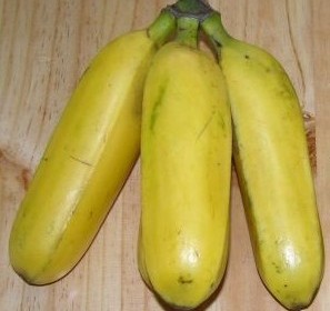 Gros Michel Banana