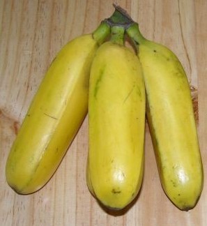 Gros Michel Banana