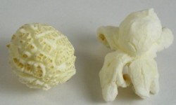 Mushroom and Butterfly Popcorn