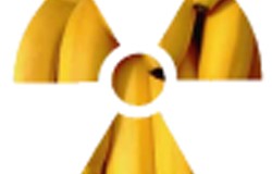 Bananas Are Naturally Radioactive