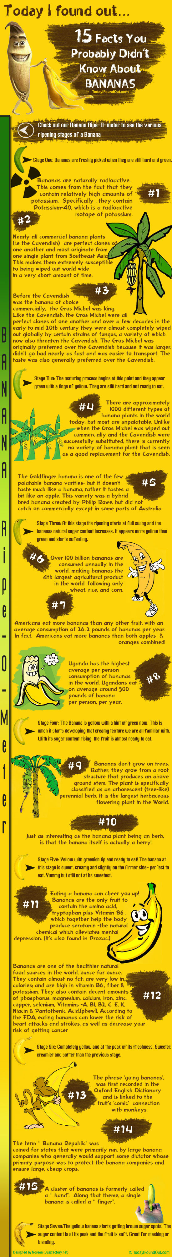 Banana Infographic