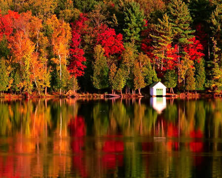 Autumn Coloring on Why Leaves Change Color In The Fall