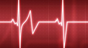 How the Heart Works