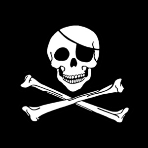 5ft x 3ft 100d Girls Large Pirate Ship Jolly Roger Skull and Crossbones Flag 