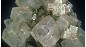 Why Salt Enhances Flavor