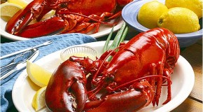 Why Lobsters and Crabs Turn Red When Cooked