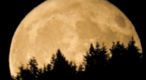 Why the Moon Looks Bigger on the Horizon