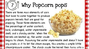 12 Fascinating Food Facts