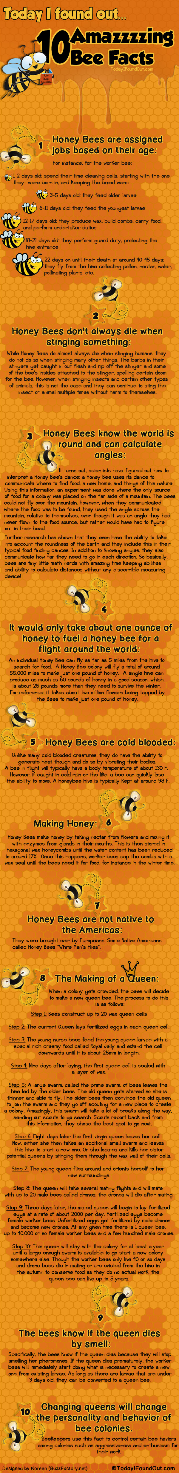 Bee Facts and Myths