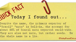 The Brazil Nuts are a Lie