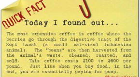 The Most Expensive Coffee in the World