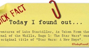 The Original Proposed Name of Star Wars: A New Hope